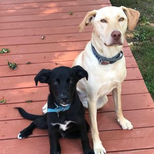 Meet your Posher, Anne